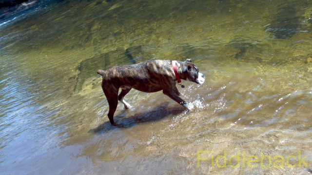 2011090120110825_115232_660-vi.jpg