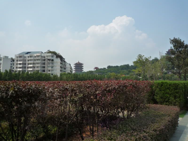 P1010456.jpg