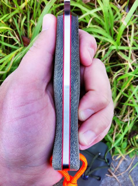 LastImport-7.jpg