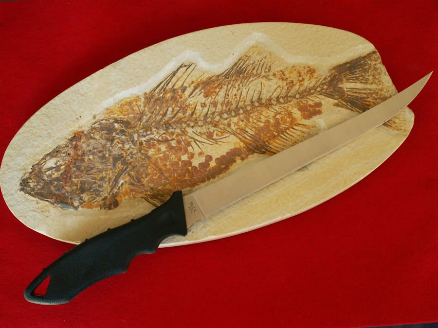 filletknife.jpg