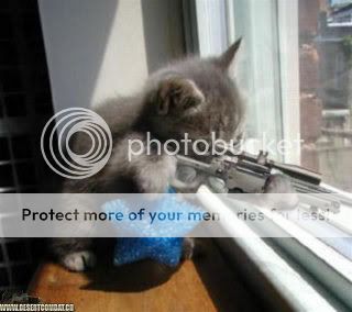 Sniper20cat.jpg