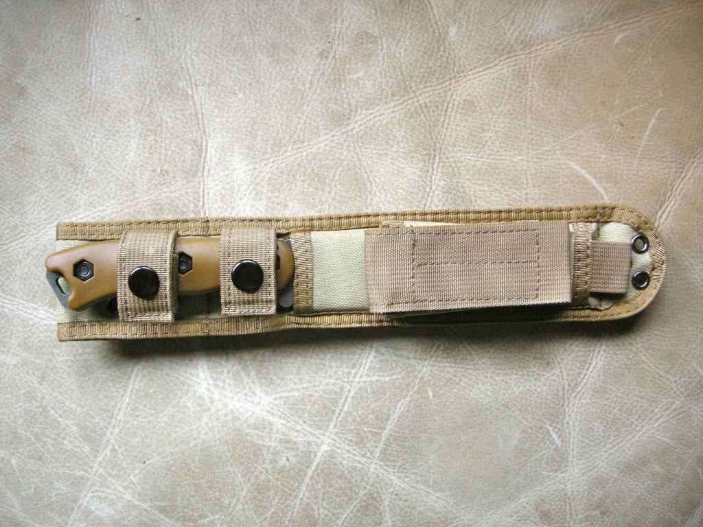 DSCN1239.jpg