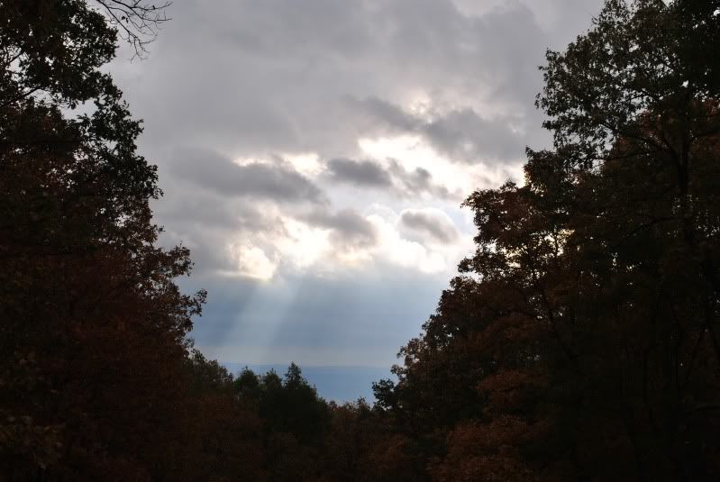 DSC_4490.jpg