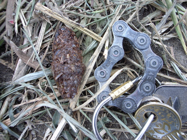 2008.09.14.R0016438.JPG