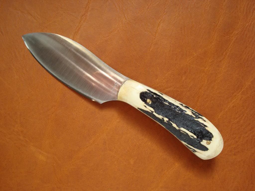 DSC05215.jpg