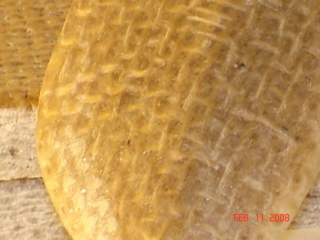 DSC01742.jpg