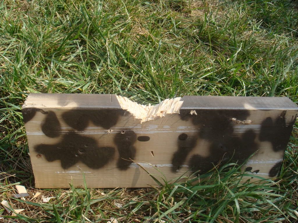 DSC04242.jpg
