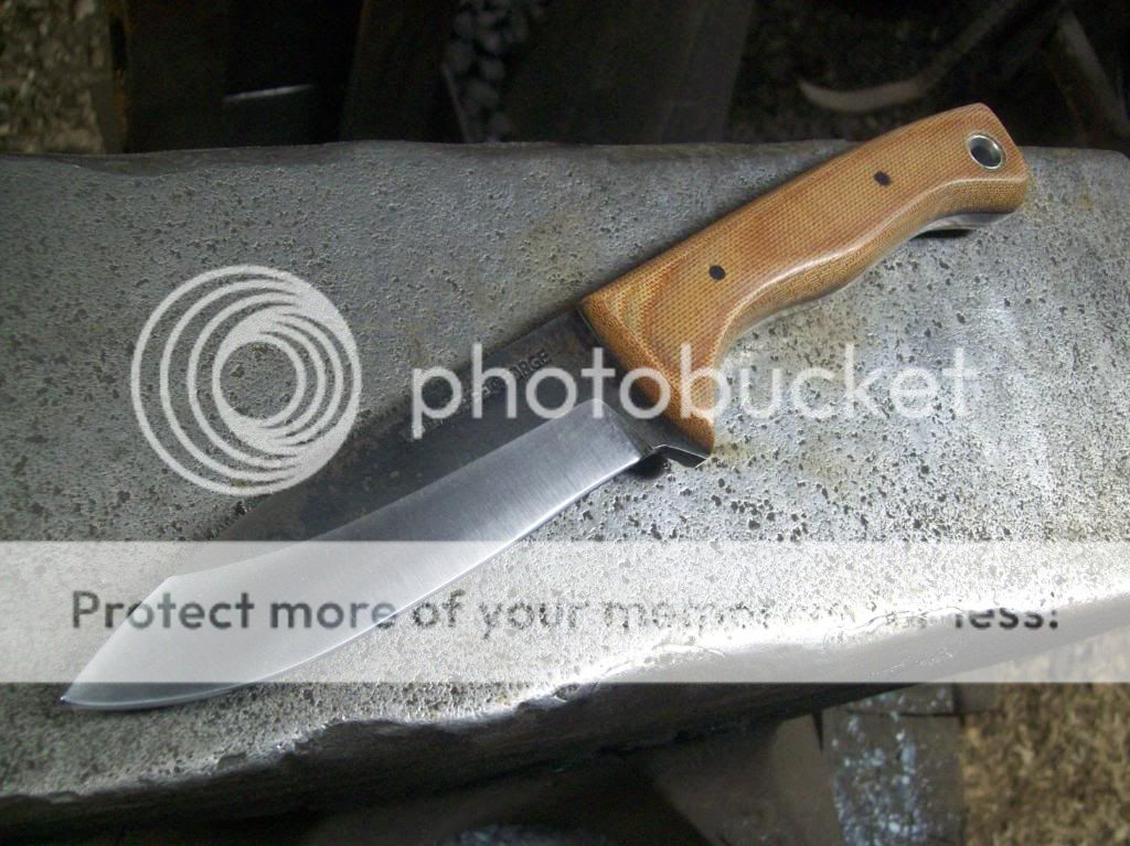 100_8657_zpse1d1db6b.jpg