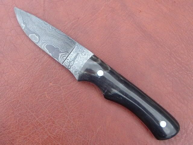 BuffaloEDC001.jpg