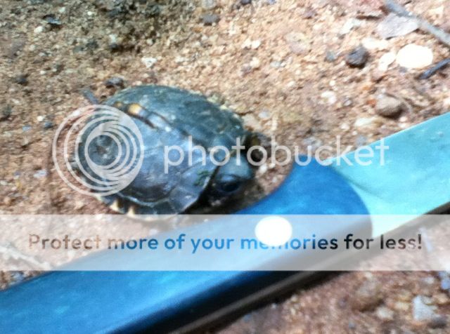 IMG_1915.jpg~original