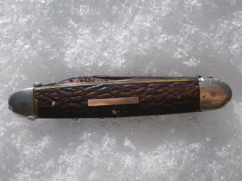 IMGP0070.jpg