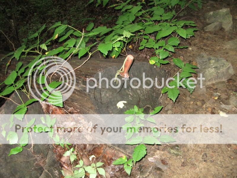 IMG_6291.jpg