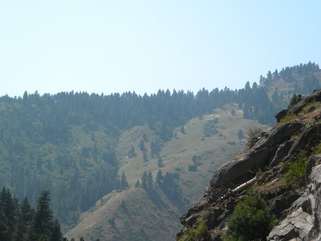 DSCN5786.jpg