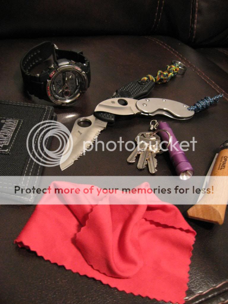 IMG_0343_zpsc1a333b4.jpg