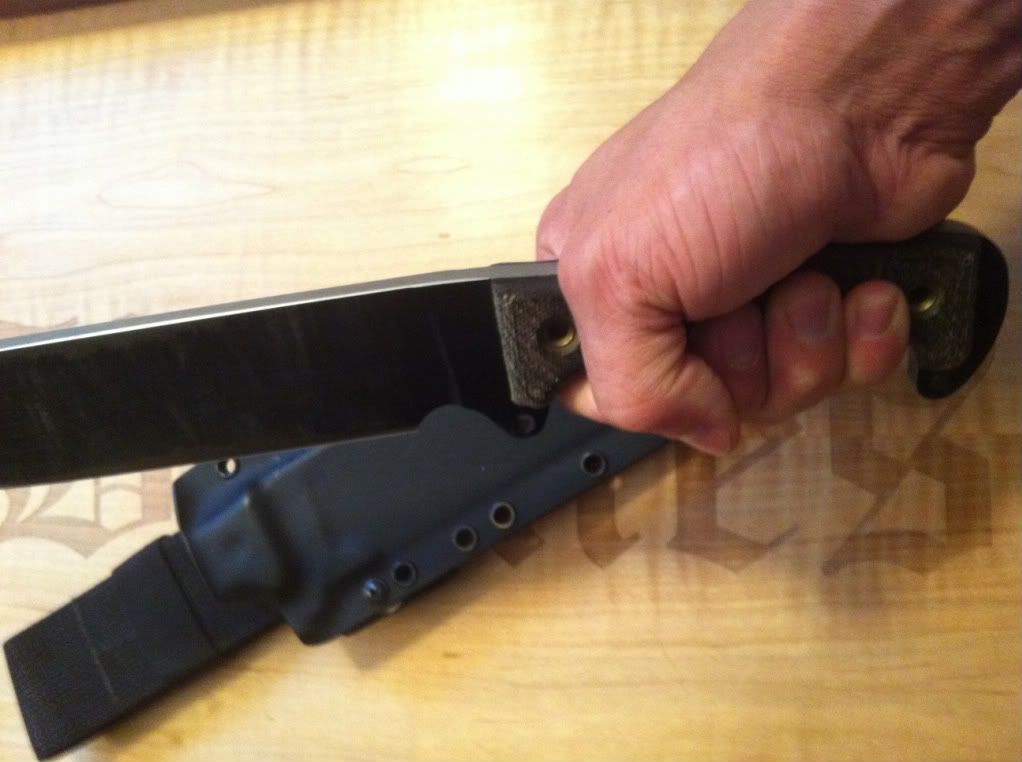 SHSHgrip.jpg