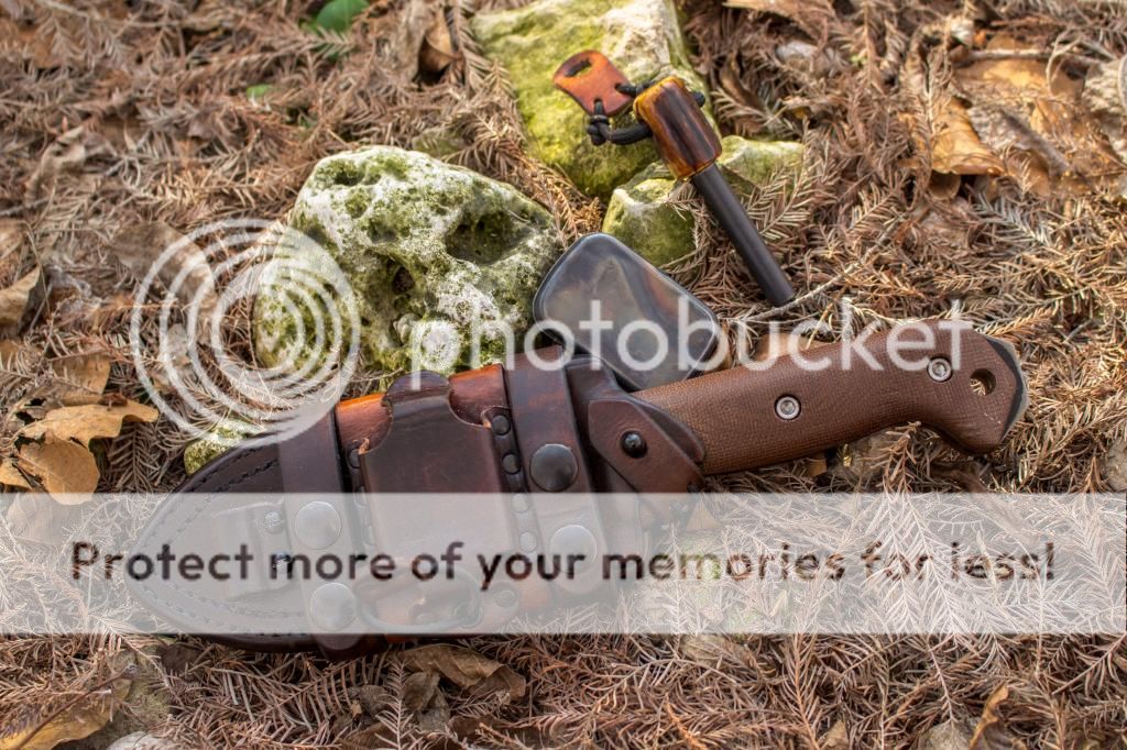 IMG_0409_zpsf78e03fa.jpg~original