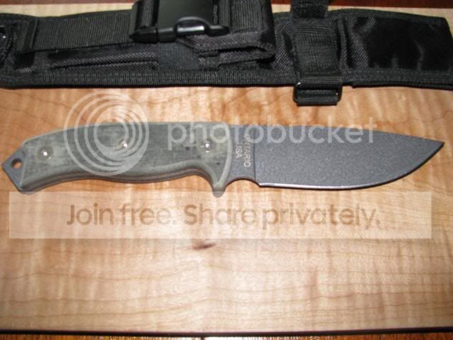 WTT026-1.jpg