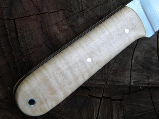 DSCN1278.jpg