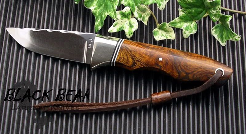BFBlackBearLeftProfile.jpg