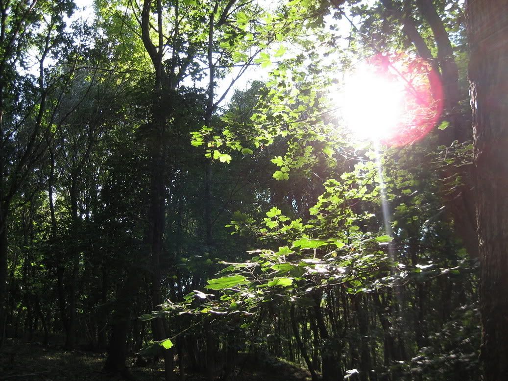 trip3september_2010.jpg