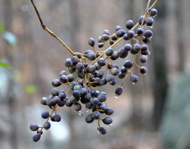DSC_5573.jpg