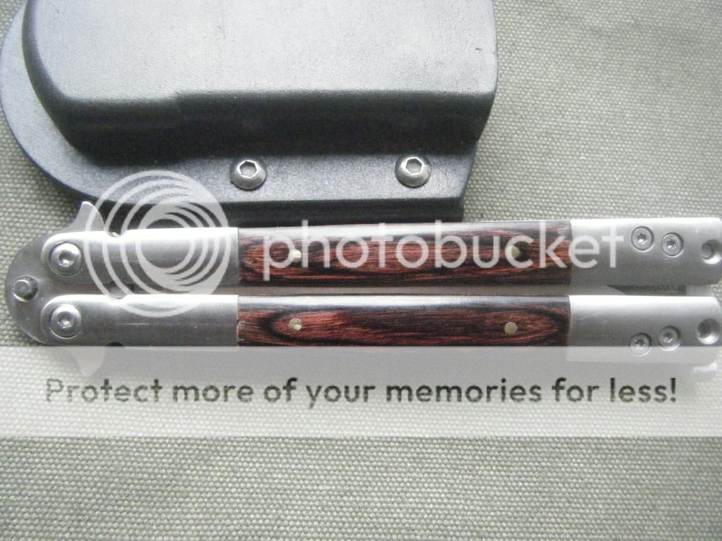 DSCF2031.jpg