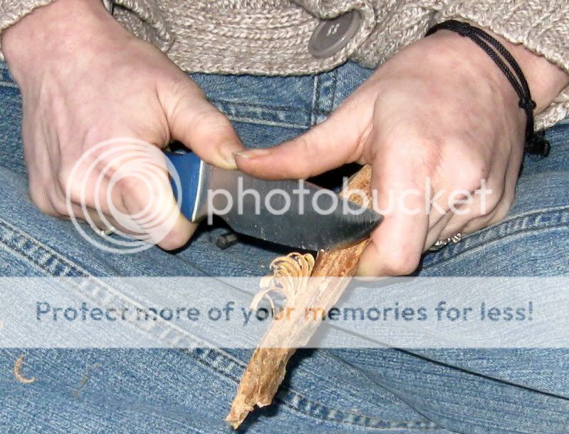 0d0979cc.jpg