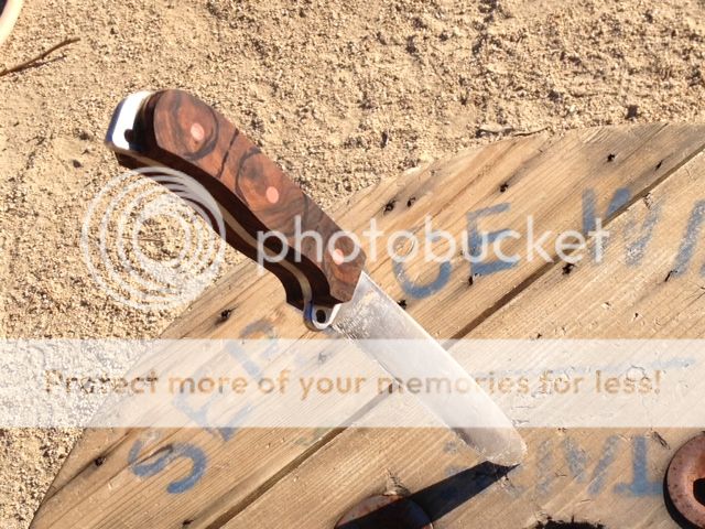 photoMA28152429-0021.jpg