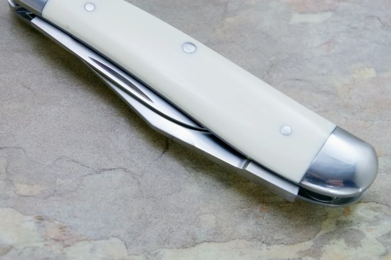 ivory5.jpg