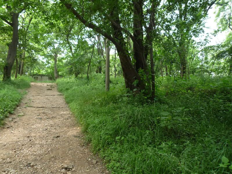 P1060865.jpg