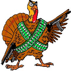e3-turkey.jpg