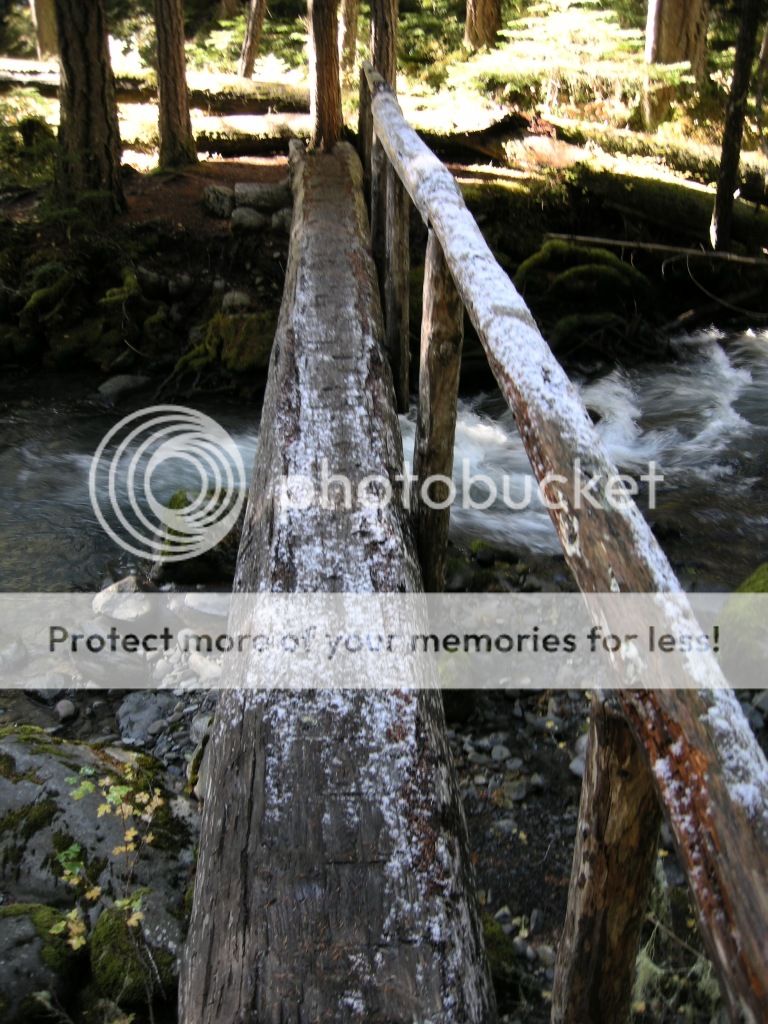 DSCN2515.jpg