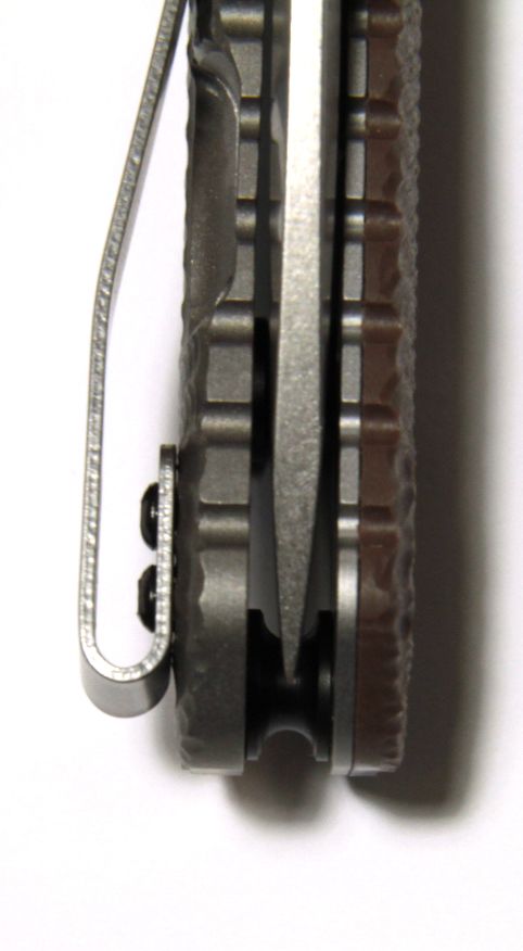 zt05613.jpg