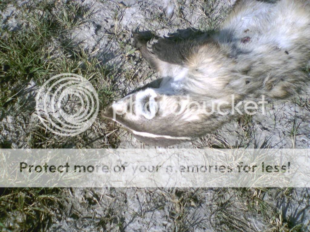 0921081032.jpg