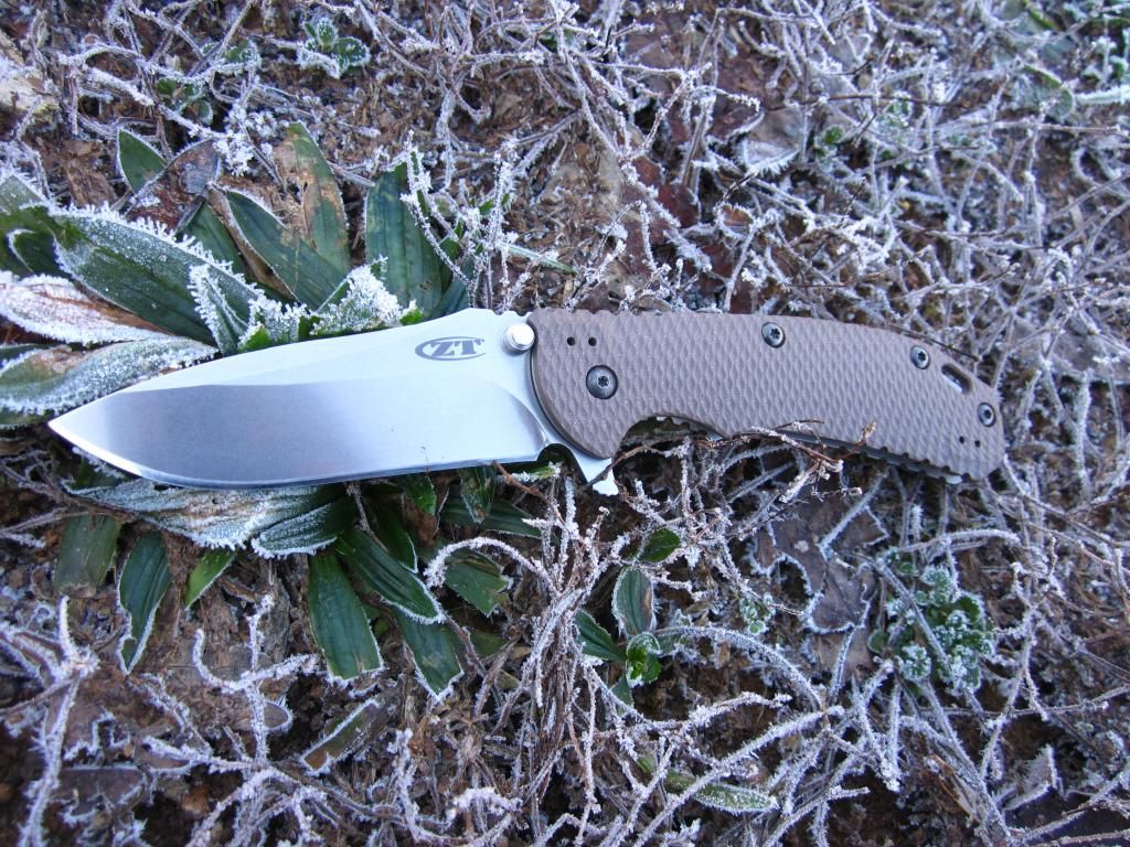 Shashi001.jpg