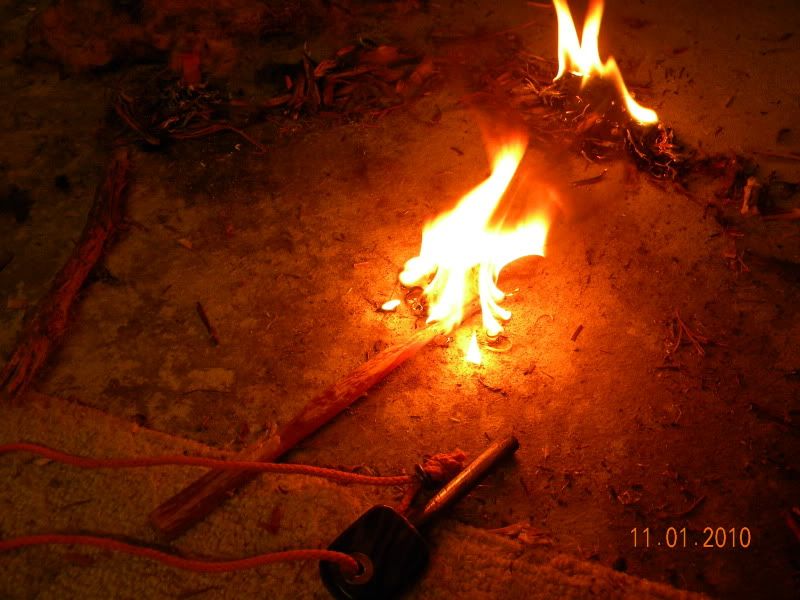 DSCN3033.jpg