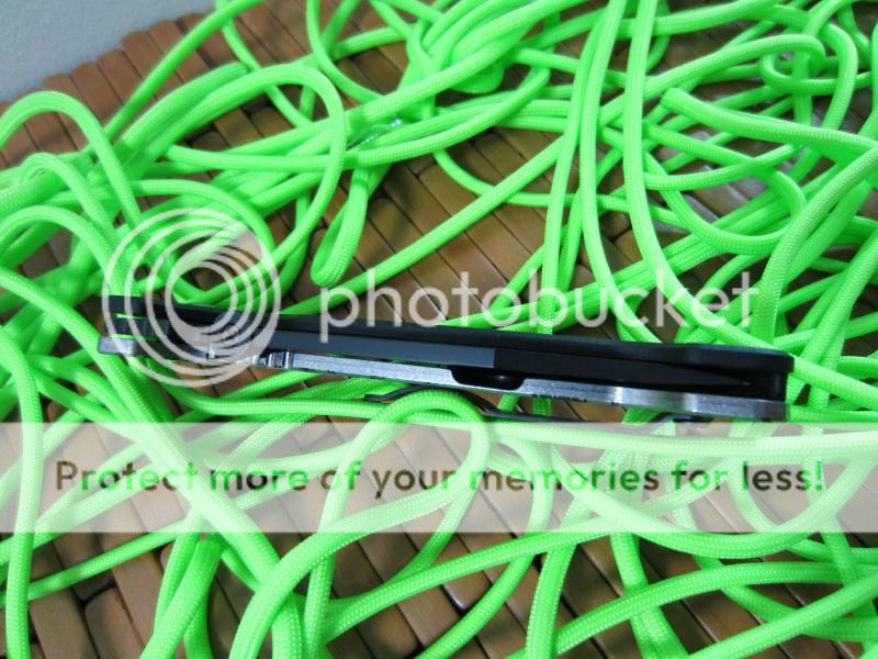 IMG_1350_zpsa2def0e8.jpg