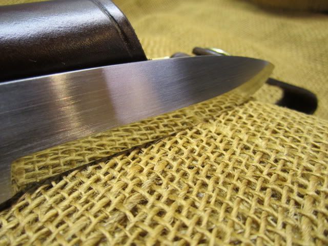 7-22-10055.jpg