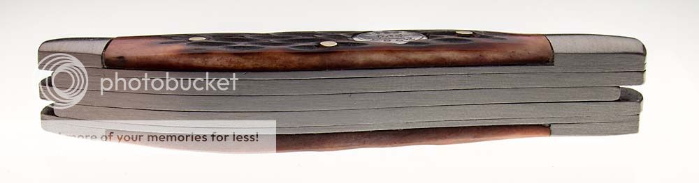 RE_spring.jpg~original