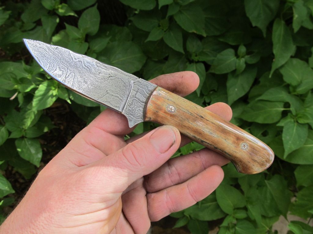 Micartaminiedc011-1.jpg