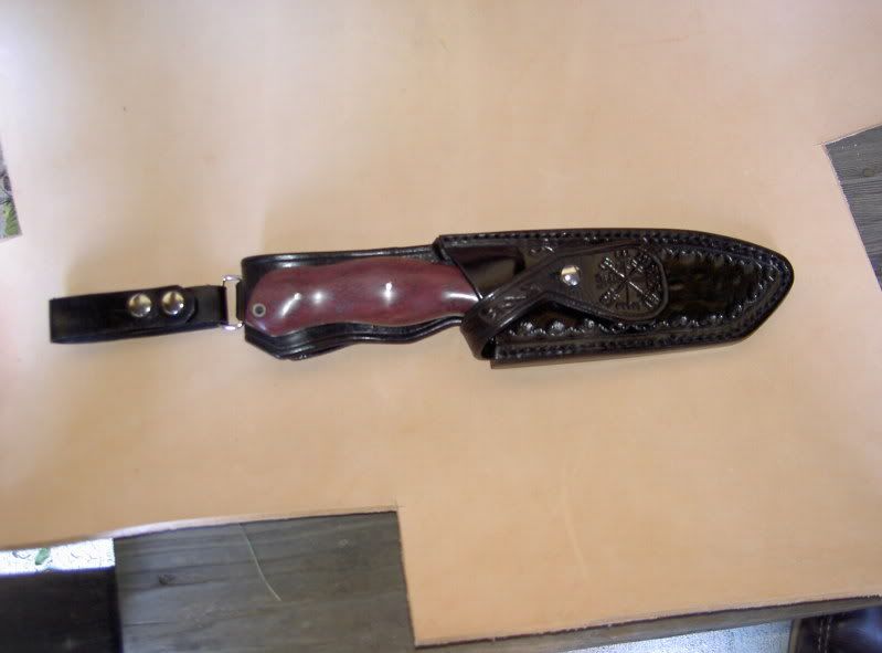 PICT1561.jpg