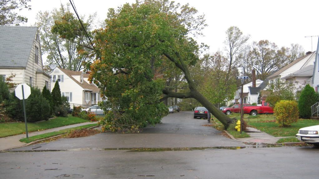 Sandy_aftermath_RahwayNJ_10-30-2012004.jpg
