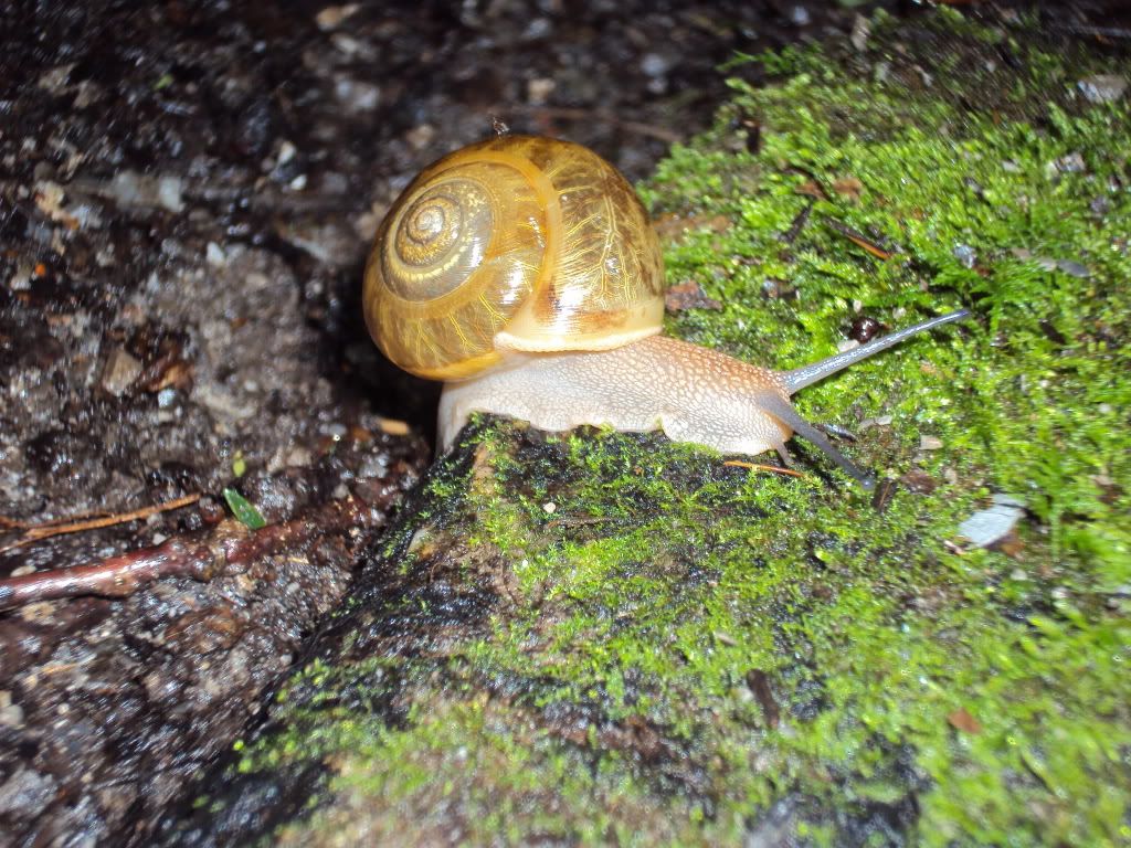 DSC00630.jpg