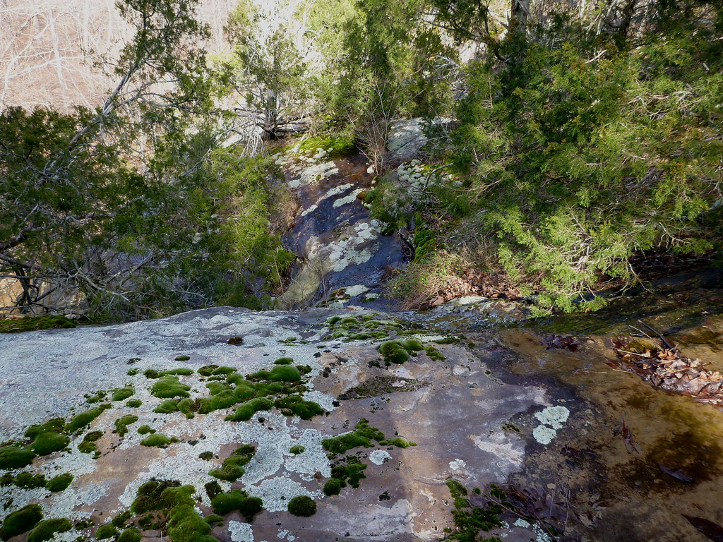 8460133266_d4549a453f_b.jpg
