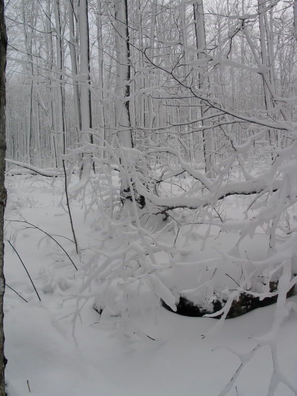BruceWinter6.jpg