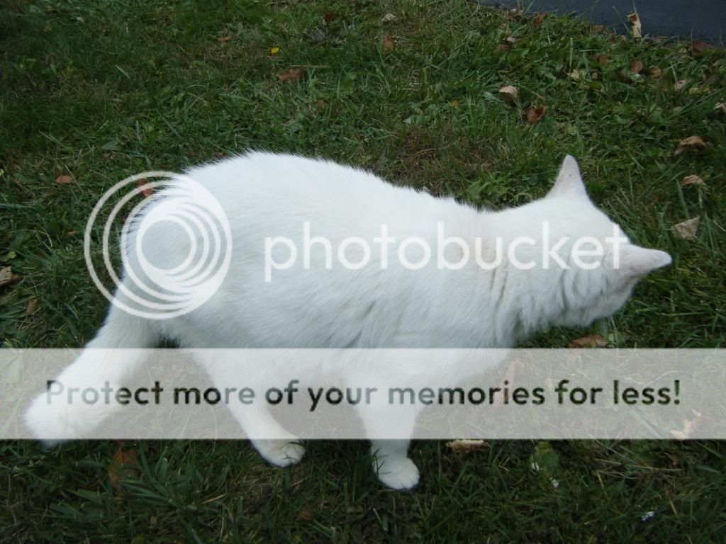 DSCF9493.jpg