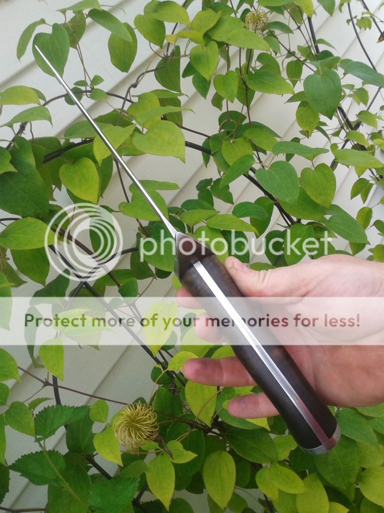 2012-07-26171237.jpg