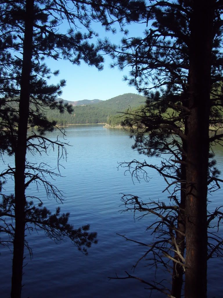 3353123e.jpg