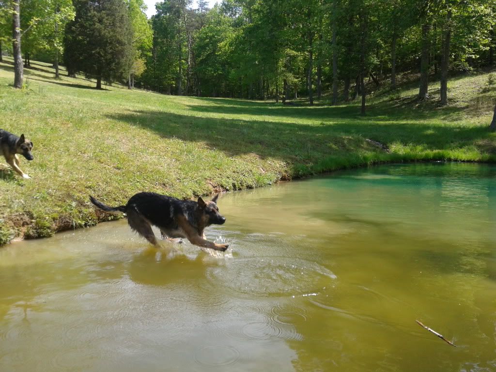 2012-04-27115957.jpg