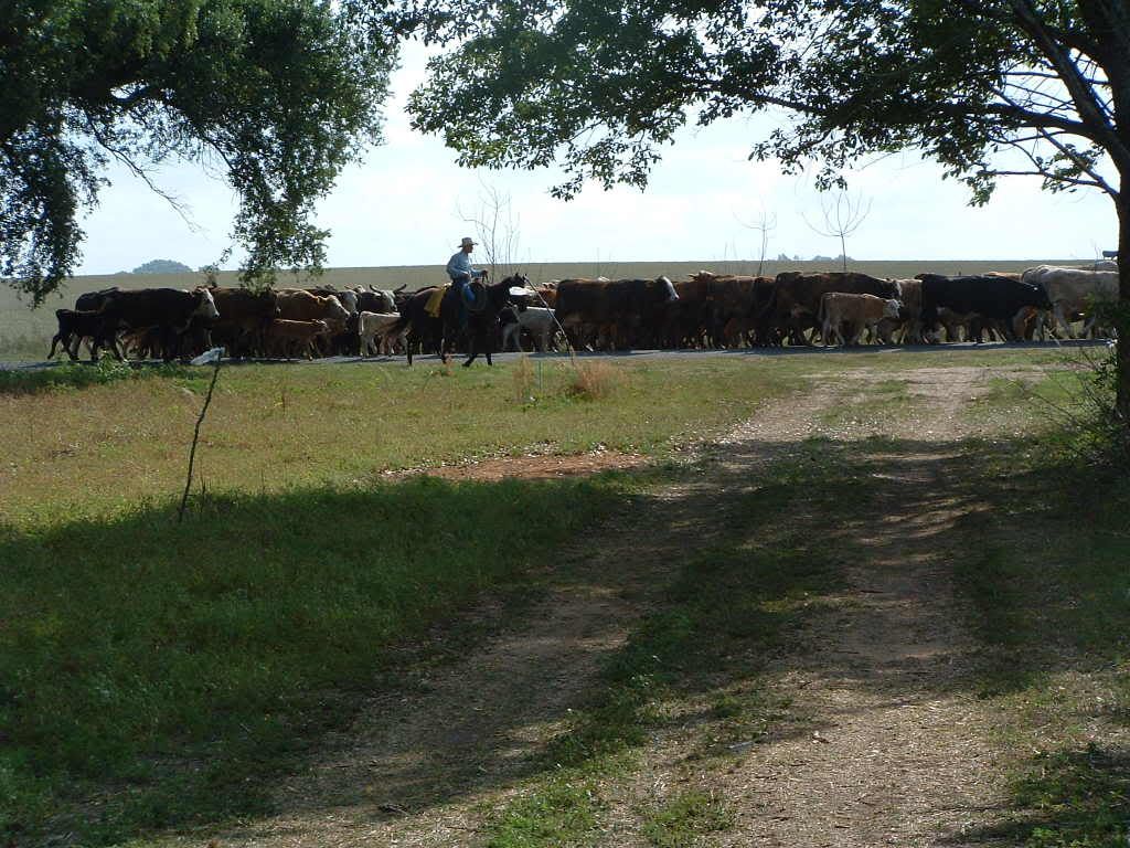 DSCF0145.jpg